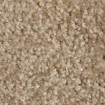 cut pile carpet